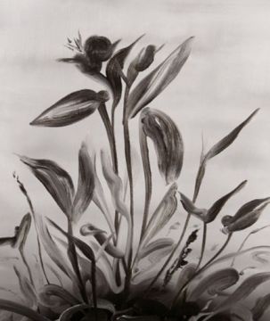 Patelczyk_l_Bukiet1_2012_65x54_ol_pl.jpg