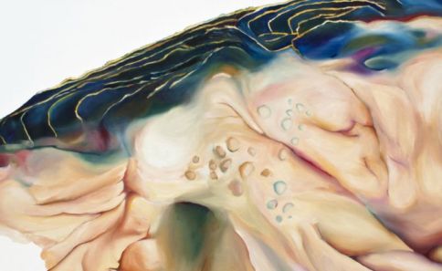 8_90x150cm_beztytulu_zcykluWcielenia_olej_na_plotnie_2011.jpg