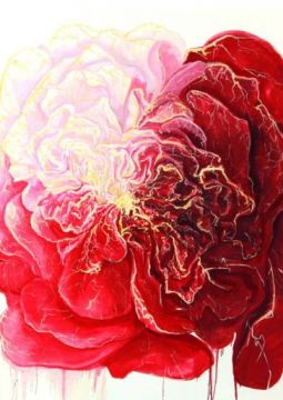 6-Piwonia-ol-pl-120x120-2012-001-001.jpg