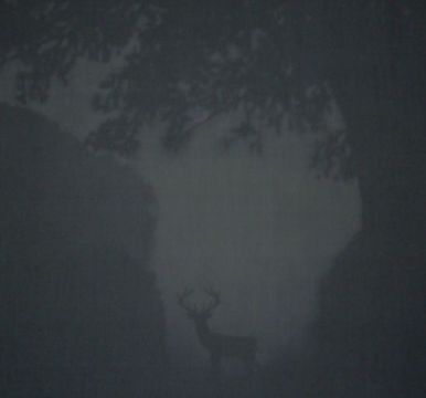 land-e-scape_5.jpg